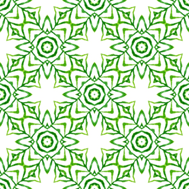 Prêt de textile imprimé envoûtant, tissu de maillot de bain, papier peint, emballage. Design d'été bohème chic exotique vert. Conception à rayures dessinées à la main. Répéter la bordure rayée dessinée à la main.