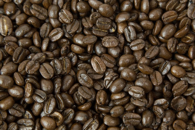 La prime aux grains de café torréfiés sur fond blanc.