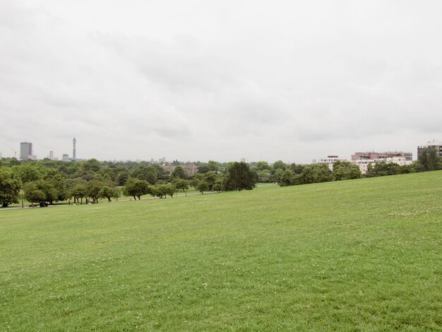 Primrose Hill Londres