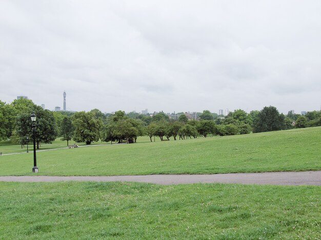 Primrose Hill Londres