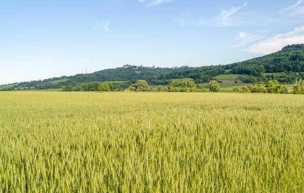 le printemps autour de Waldenburg