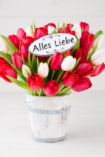 Le printemps. Bouquet de tulipes rouges sur fond en bois blanc.