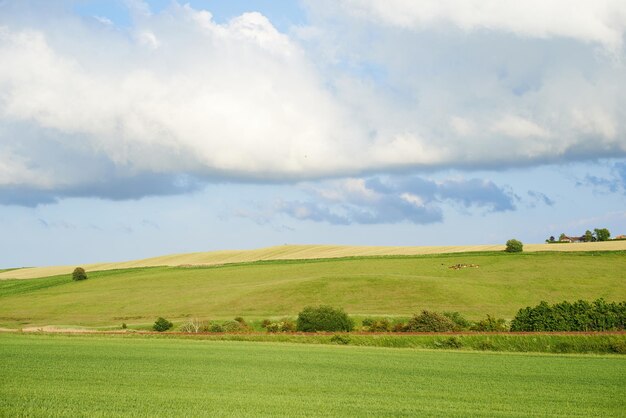 Printemps à la campagne Terres agricoles au printemps Jutland Danemark