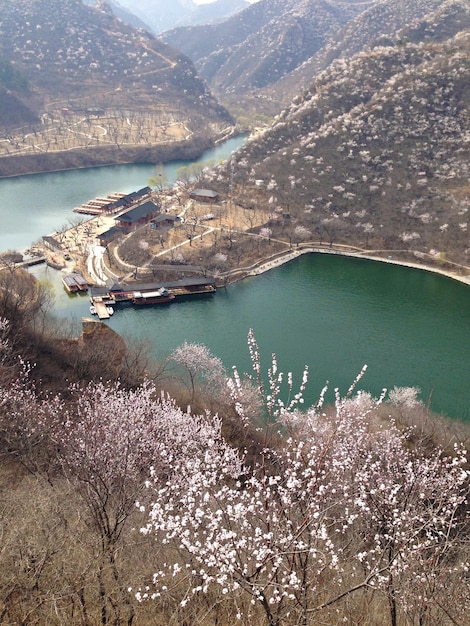 Printemps en Chine. Paysage de montagne avec lac et fleur de cerisier, Chine