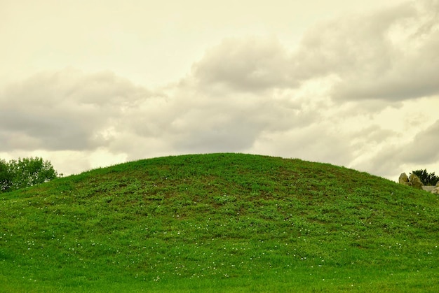 Printemps sur le ciel d'herbe verte de la colline