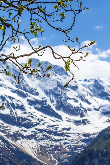 Printemps dans les Alpes