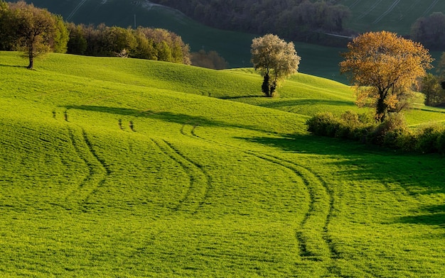 Le printemps dans la campagne de San Severino Marche