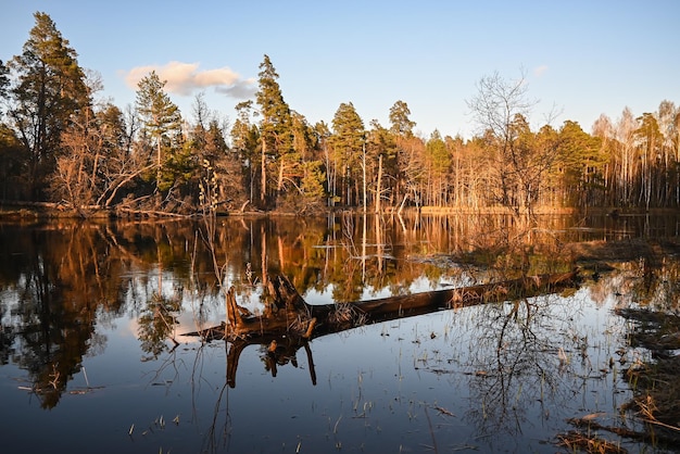 Printemps dans le parc national