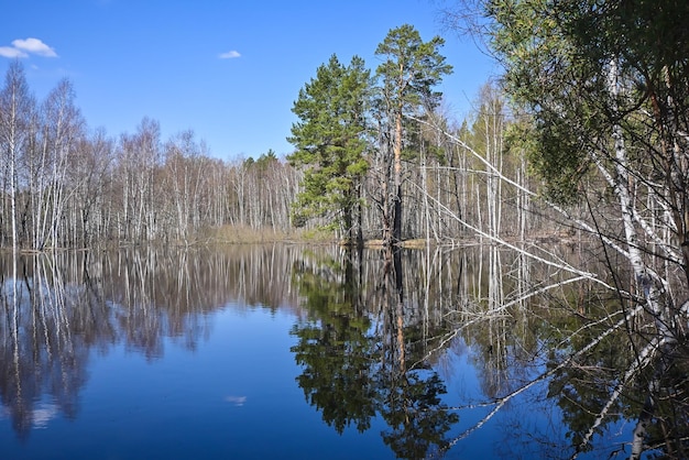 Printemps dans le parc national