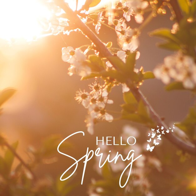 Photo le printemps est là, soyons joyeux