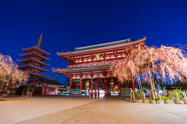 Printemps des fleurs de cerisier au temple Sensoji, Tokyo, Japon