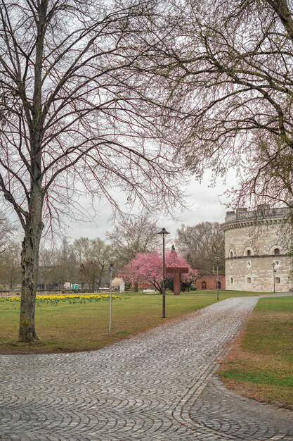 Printemps Ingolstadt un parc dans une ville allemande au printemps Klenzepark