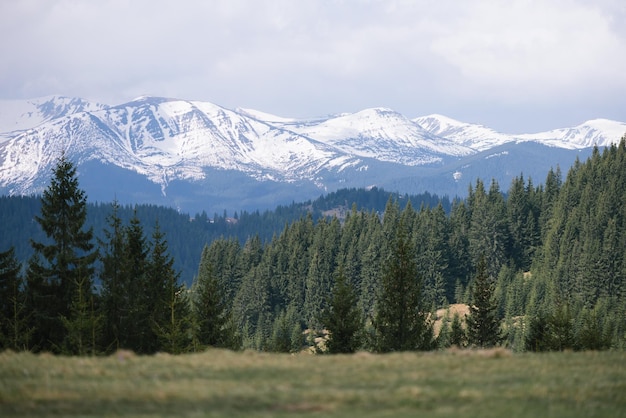 Printemps en montagne