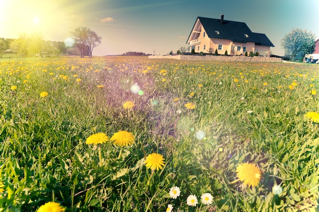 Printemps prés autour d'une maison rurale