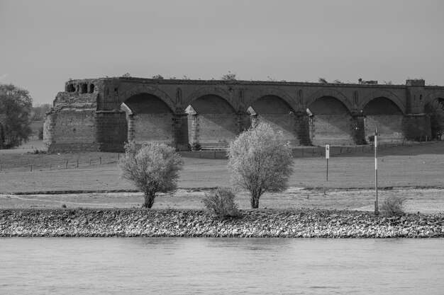 Le printemps sur le Rhin