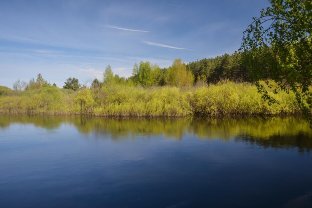 Printemps sur la rivière de la forêt