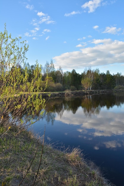 Printemps sur la rivière