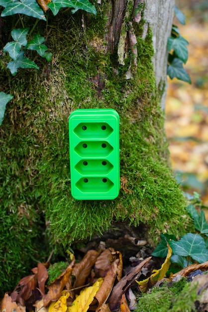 Prise électrique verte sur un tronc d'arbre, énergie renouvelable durable, concept rse, environnement