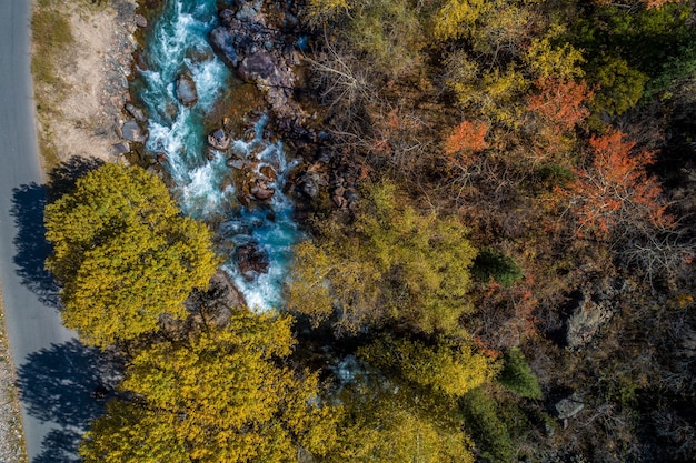 Prise de vue aérienne de drone d'automne