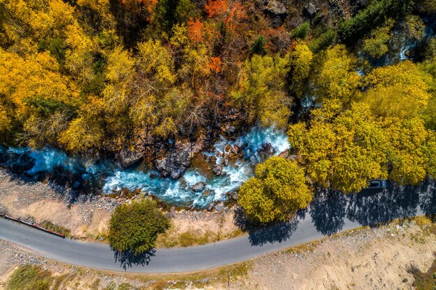 Prise de vue aérienne de drone d'automne