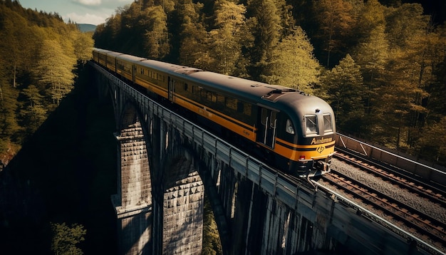 prise de vue aérienne du train sur la photographie du viaduc