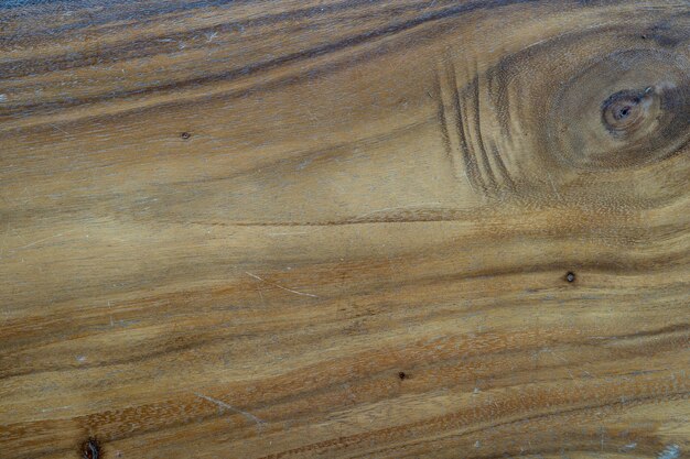 Une prise de vue en bois.