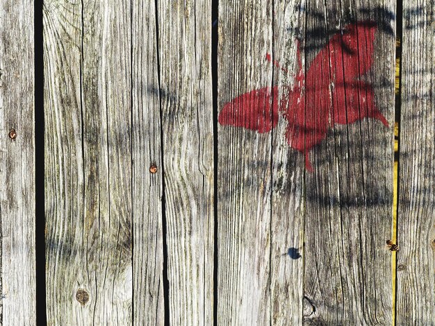 Photo une prise de vue en bois.