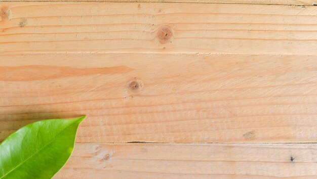 Photo une prise de vue en bois.