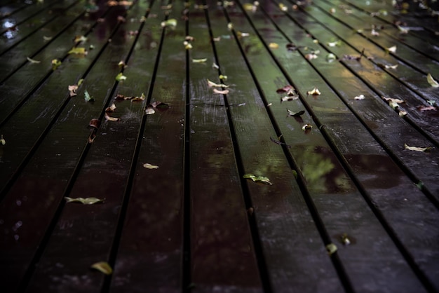 Photo une prise de vue en bois.