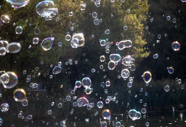 Photo une prise de vue complète des bulles