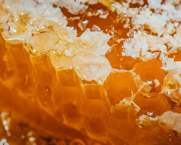 Une prise de vue complète de la crème glacée
