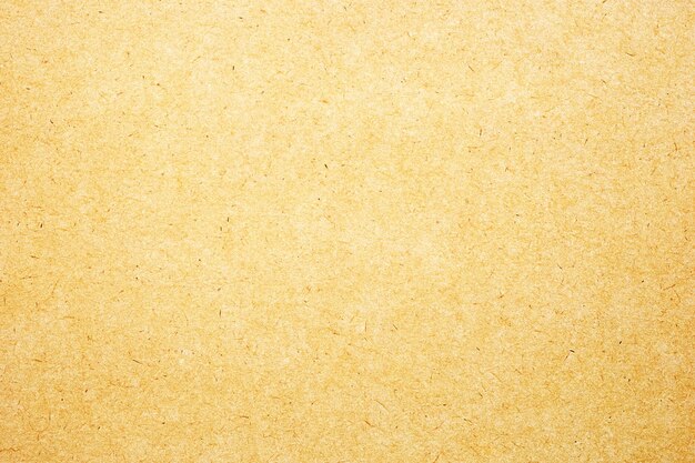 Une prise de vue complète du papier