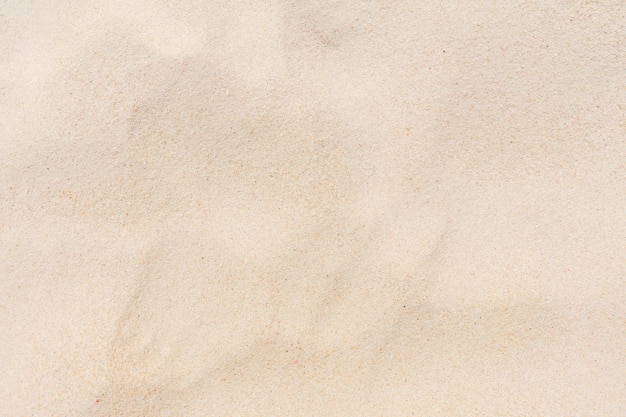 Une prise de vue complète du papier