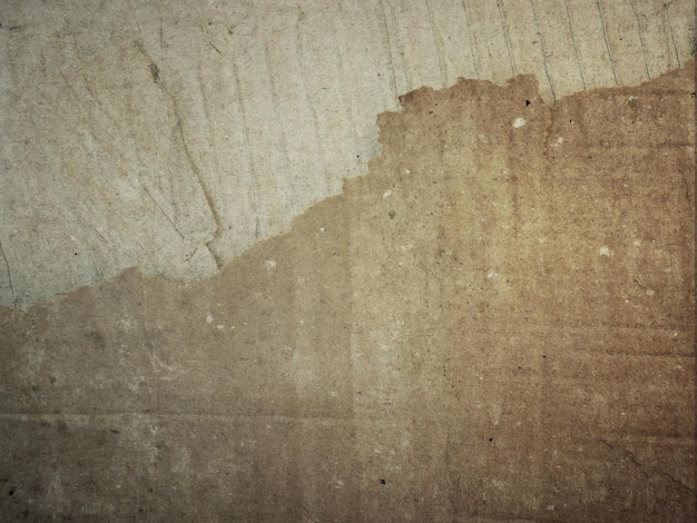 Une prise de vue complète du papier
