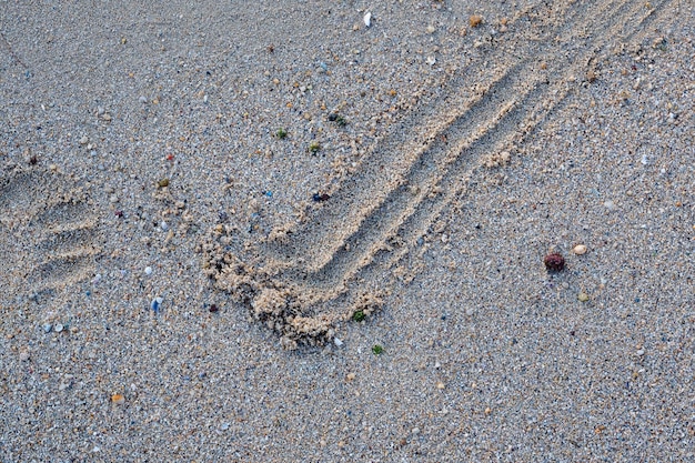 Une prise de vue complète du sable mouillé