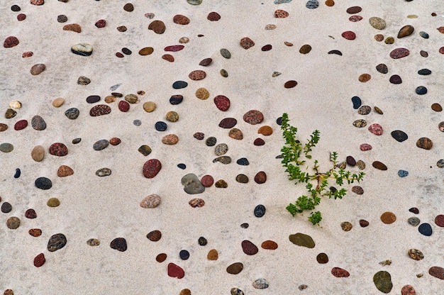 Photo une prise de vue complète du sable.