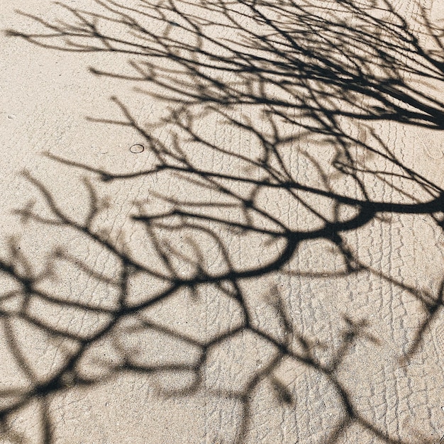 Une prise de vue complète du sable.