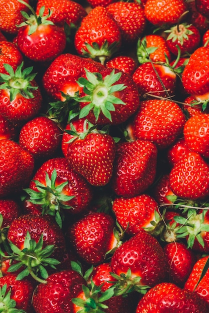 Une prise de vue complète des fraises