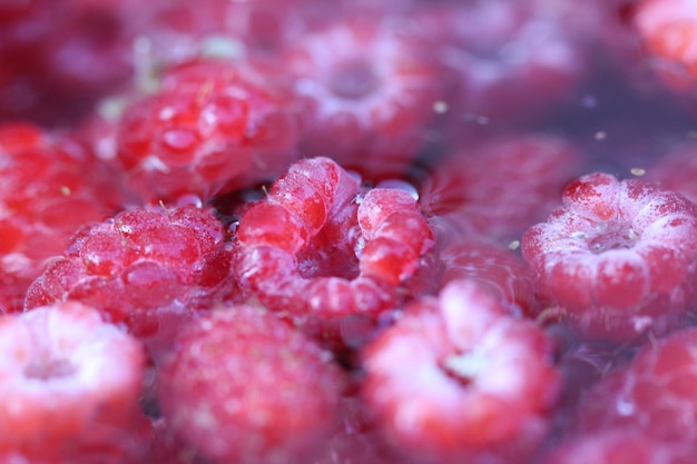 Photo une prise de vue complète des fraises