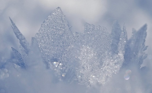 Une prise de vue complète de la glace
