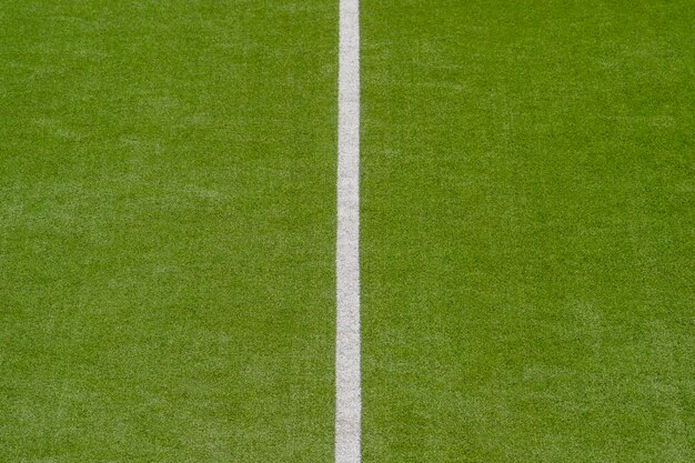 Photo une prise de vue complète de l'herbe verte