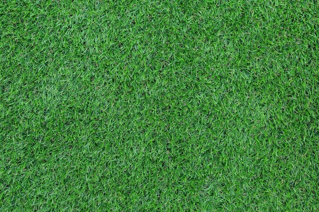 Photo une prise de vue complète de l'herbe verte