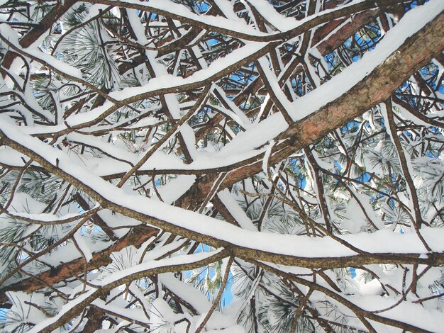 Photo une prise de vue complète de la neige