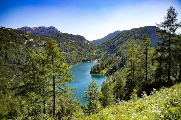 Prise de vue en grand angle d'un lac dans les montagnes entouré d'une belle verdure en Autriche, Tauplitz