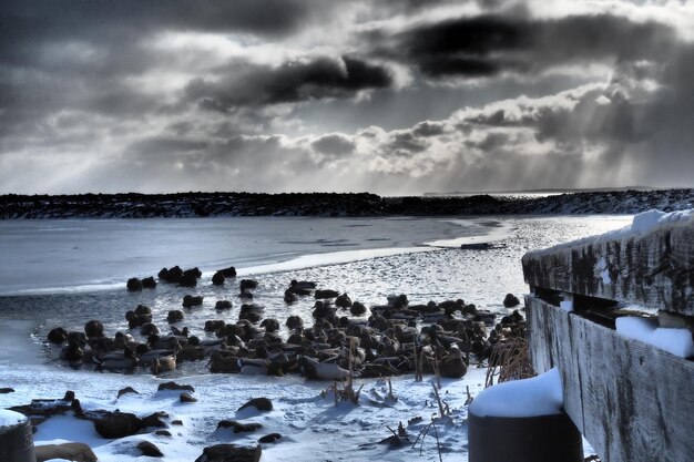 Photo une prise de vue panoramique de la mer contre le ciel