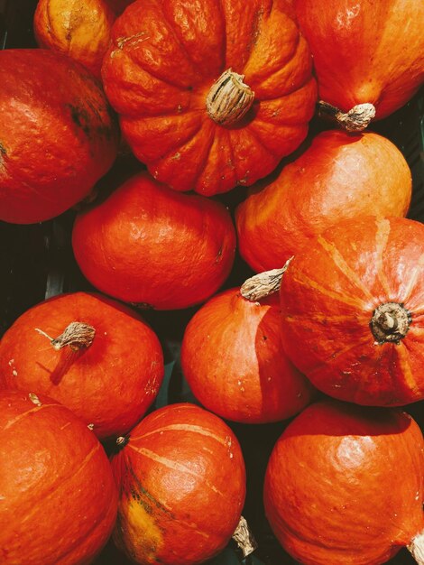 Prise de vue plein format de citrouilles au marché