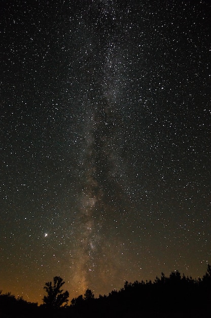 Prise de vue verticale en contre-plongée d'un ciel étoilé