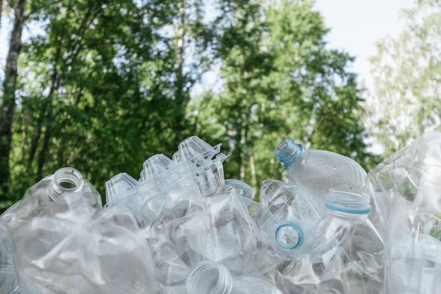 Problème de plastique une montagne de bouteilles en plastique dans le contexte d'une pollution de la nature de la forêt verte