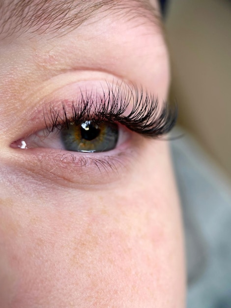 La procédure d'extension de cils classique. Gros plan de beaux yeux féminins avec de longs cils