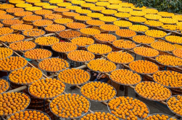 Processus de fabrication de kaki séché pendant l'automne venteux